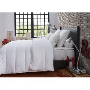 Dodo 25665 - Edredom 4 estações - Poliéster 200+300g/m² Dodo 25665 - Edredom 4 estações - Poliéster 200+300g/m²