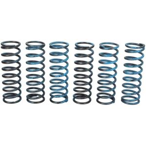 TRW MEF313-6 - Ressorts d'embrayage pour motos - Publicité TRW MEF313-6 - Ressorts d'embrayage pour motos - Publicité