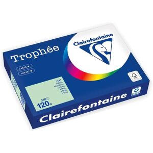 Clairefontaine Grünes Kopierpapier A4 120g - Kopierpapier Clairefontaine Grünes Kopierpapier A4 120g - Kopierpapier