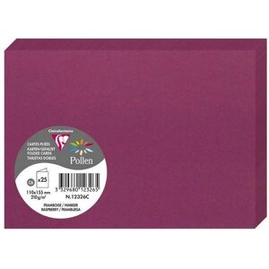 Clairefontaine Framboise Pollen Karten - 25 Stück - 110x155mm - 210g/m2 Clairefontaine Framboise Pollen Karten - 25 Stück - 110x155mm - 210g/m2