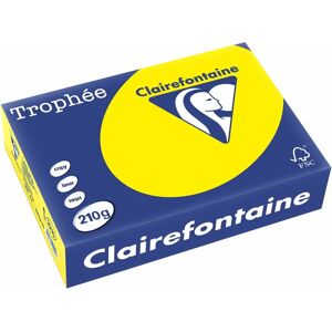 Clairefontaine Zonnegeel A4 - 210 g/m² - 250 kartek - Kolorowy papier Clairefontaine Zonnegeel A4 - 210 g/m² - 250 kartek - Kolorowy papier