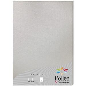 Clairefontaine Pollen Silver A4 Printing Paper - 25 Sheets Clairefontaine Pollen Silver A4 Printing Paper - 25 Sheets