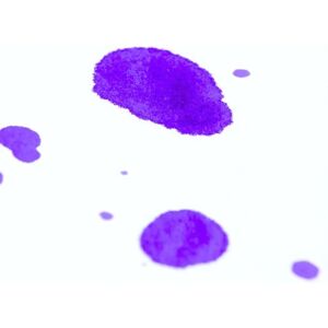 Clairefontaine 93831C art paper - Thick absorbent, 25 sheets Clairefontaine 93831C art paper - Thick absorbent, 25 sheets