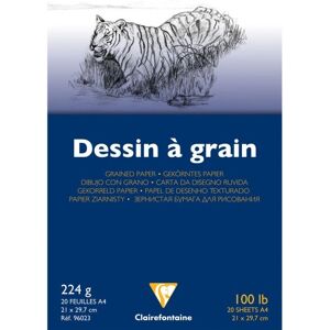 Papier d'Art Clairefontaine 96023C - 20 feuilles, A4, Texturé, Sans acide - Publicité Papier d'Art Clairefontaine 96023C - 20 feuilles, A4, Texturé, Sans acide - Publicité