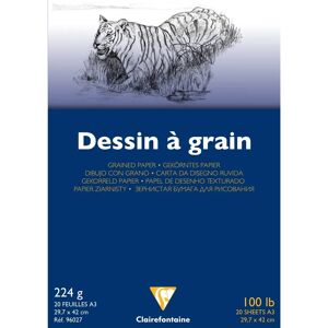 Papier à Dessin Blanc Clairefontaine A3 224g - Lot de 5 - Publicité Papier à Dessin Blanc Clairefontaine A3 224g - Lot de 5 - Publicité