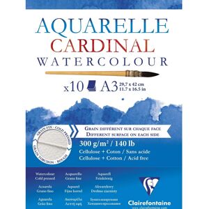 Clairefontaine Art Paper - 10 Sheets, A3, Extra White - Art Paper Clairefontaine Art Paper - 10 Sheets, A3, Extra White - Art Paper