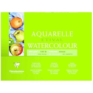 Papel de arte Clairefontaine 96462C - 25 hojas - Blanco Papel de arte Clairefontaine 96462C - 25 hojas - Blanco