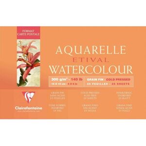 Clairefontaine 96468C art paper - 25 sheets - White Clairefontaine 96468C art paper - 25 sheets - White