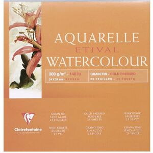 Clairefontaine 96452 C Art Paper - Watercolor, Sketch, 25 Sheets Clairefontaine 96452 C Art Paper - Watercolor, Sketch, 25 Sheets