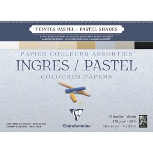 Clairefontaine 96486C Pastel Art Paper - 25 Sheets Clairefontaine 96486C Pastel Art Paper - 25 Sheets