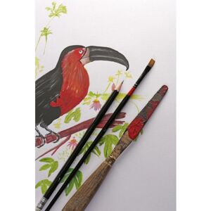 Clairefontaine Art Paper - 40 Sheets A4 250gsm - White - Art Paper Clairefontaine Art Paper - 40 Sheets A4 250gsm - White - Art Paper