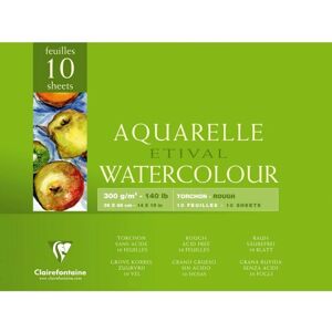 Carta artistica Clairefontaine 96460C - 10 Fogli Carta artistica Clairefontaine 96460C - 10 Fogli