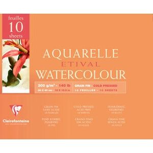 Clairefontaine 96572C Art Paper - Fine Grain, 30x40cm, 10 Sheets Clairefontaine 96572C Art Paper - Fine Grain, 30x40cm, 10 Sheets
