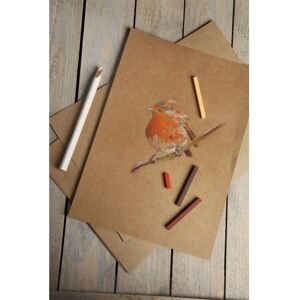 Clairefontaine 975011C Kraft Paper - Art Paper 25 Sheets Clairefontaine 975011C Kraft Paper - Art Paper 25 Sheets