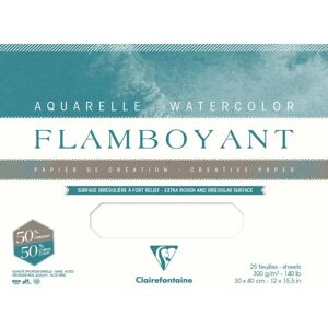 Clairefontaine 975064C Art Paper - 20 Sheets, 4-Sided Glue, 300g, 31x41cm Clairefontaine 975064C Art Paper - 20 Sheets, 4-Sided Glue, 300g, 31x41cm