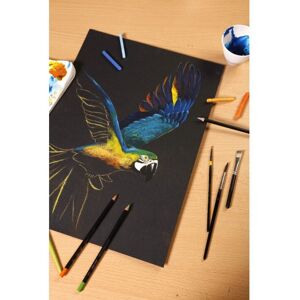 Papier d'art Clairefontaine 975161C - Noir, Épais, Rouleau 10m - Papier d'art - Publicité Papier d'art Clairefontaine 975161C - Noir, Épais, Rouleau 10m - Papier d'art - Publicité