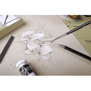 Clairefontaine 975163C Art Paper - Thick, Natural, Multi-technique Clairefontaine 975163C Art Paper - Thick, Natural, Multi-technique