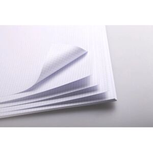 Papier d'art Clairefontaine - 20 feuilles A3, 320g, Quadrillage - Blanc - Publicité Papier d'art Clairefontaine - 20 feuilles A3, 320g, Quadrillage - Blanc - Publicité