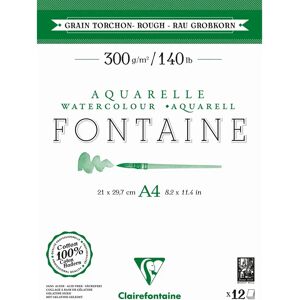Clairefontaine Fontaine 12F A4 300g Grain Torchons Art Paper - Lot of 5 Clairefontaine Fontaine 12F A4 300g Grain Torchons Art Paper - Lot of 5
