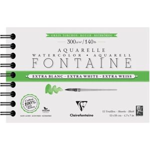 Clairefontaine 976089C Art Paper Pad - 12 Sheets Clairefontaine 976089C Art Paper Pad - 12 Sheets