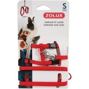 Kit harnais et laisse pour animaux Zolux - S - Publicité Kit harnais et laisse pour animaux Zolux - S - Publicité