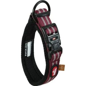 Collier pour chien Zolux Bivouak - Réglable, Réfléchissant, Usage quotidien - Publicité Collier pour chien Zolux Bivouak - Réglable, Réfléchissant, Usage quotidien - Publicité