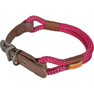 Collier ajustable Hyde Park pour chiens - Collier pour chiens - Publicité Collier ajustable Hyde Park pour chiens - Collier pour chiens - Publicité