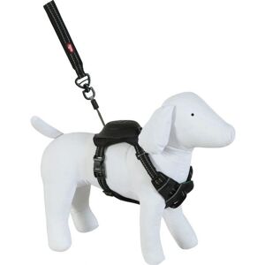 Zolux Easyride hondenharnas - 33-43 cm - Zwart - Handsfree Zolux Easyride hondenharnas - 33-43 cm - Zwart - Handsfree
