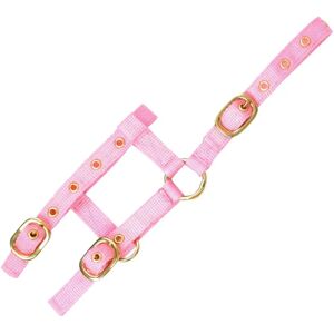 Harnais Norton Mini pour chevaux - Réglable, Rose, 19mm - Publicité Harnais Norton Mini pour chevaux - Réglable, Rose, 19mm - Publicité