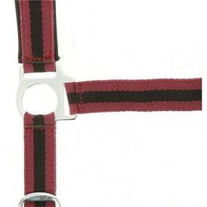 Symantec Norton Halter mit Neopren, Burgund/Schwarz - Pferdehalfter Symantec Norton Halter mit Neopren, Burgund/Schwarz - Pferdehalfter