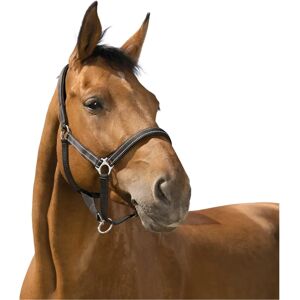 Symantec NORTON Reflektierende Pony Halter Symantec NORTON Reflektierende Pony Halter