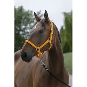 Symantec NORTON Satine Grimma Orange - Halter pour chevaux - Publicité Symantec NORTON Satine Grimma Orange - Halter pour chevaux - Publicité