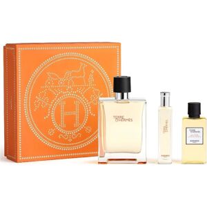 Hermès Terre d' (EdT 100ml + EdT 15ml + SG 40ml) Gift Set Hermès Terre d' (EdT 100ml + EdT 15ml + SG 40ml) Gift Set