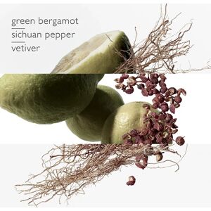 Hermès Terre D'Hermès Eau Intense Vetiver Eau de Parfum - D´Hermès (50ml) Hermès Terre D'Hermès Eau Intense Vetiver Eau de Parfum - D´Hermès (50ml)