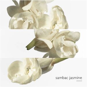 Hermès Le Jardin de Monsieur Li Eau de Toilette - 50 ml Hermès Le Jardin de Monsieur Li Eau de Toilette - 50 ml