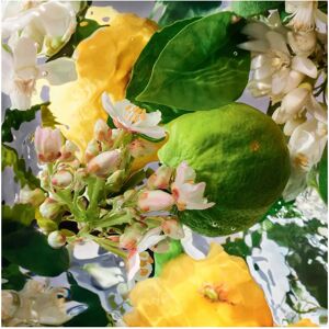 Guerlain Aqua Allegoria Bergamote Calabria Eau de Toilette - 200 ml Guerlain Aqua Allegoria Bergamote Calabria Eau de Toilette - 200 ml