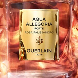 Guerlain Aqua Allegoria Forte Rosa Palissandro Eau de Parfum - 125ml Guerlain Aqua Allegoria Forte Rosa Palissandro Eau de Parfum - 125ml