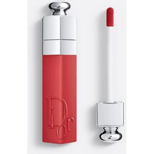 Christian Dior Dior Addict Lip Tint Natürliche Rose - Lip Tint Christian Dior Dior Addict Lip Tint Natürliche Rose - Lip Tint