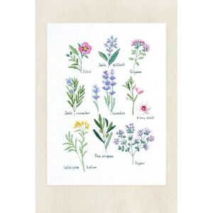 DMC Cross Stitch Kit Herbs - Nathalie Weinzaepflen - Advanced - Cross Stitch Kit DMC Cross Stitch Kit Herbs - Nathalie Weinzaepflen - Advanced - Cross Stitch Kit