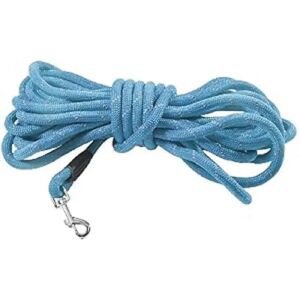 Croci Walk Nylon Hundeleine - Reflektierend, 1,2 x 500 cm Croci Walk Nylon Hundeleine - Reflektierend, 1,2 x 500 cm