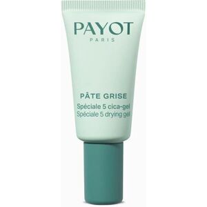 Payot Pâte Grise Speciale 5 Cica Facial Treatment Silver (15ml) Payot Pâte Grise Speciale 5 Cica Facial Treatment Silver (15ml)
