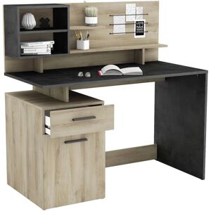DEMEYERE GROUP Moderner Schreibtisch mit Stauraum DEMEYERE GROUP Moderner Schreibtisch mit Stauraum