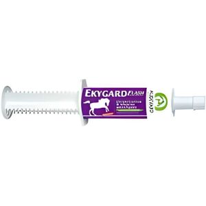 Audevard Ekygard Flash 60ml Supplément pour Chevaux - Soutien Gastrique - Publicité Audevard Ekygard Flash 60ml Supplément pour Chevaux - Soutien Gastrique - Publicité
