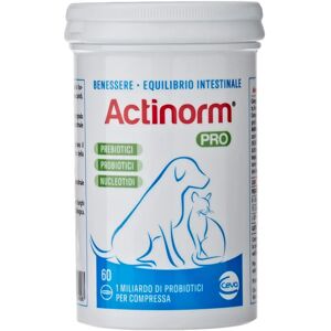 Ceva Salute Animale Spa Actinorm Pro 60 Compresse - Supporto digestivo per cani e gatti Ceva Salute Animale Spa Actinorm Pro 60 Compresse - Supporto digestivo per cani e gatti