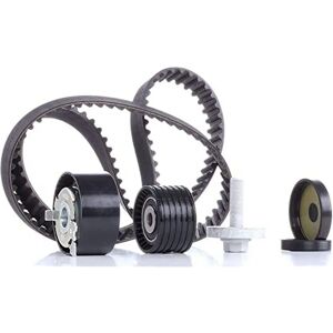 SNR Timing Belt Kit - Compatible with Renault Clio 3, Scenic 3, Laguna 2 SNR Timing Belt Kit - Compatible with Renault Clio 3, Scenic 3, Laguna 2