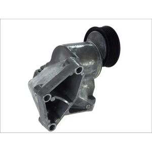 SNR GA352.56 Pulitore tensione cinghia - per Ford Focus/Fusion SNR GA352.56 Pulitore tensione cinghia - per Ford Focus/Fusion