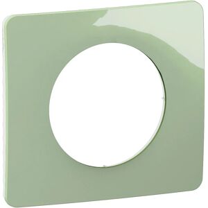 Legrand CP0521 Groene Wandplaat - Moderne Schakeldeksel Legrand CP0521 Groene Wandplaat - Moderne Schakeldeksel