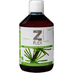 Mint-E Health Z-Flex - 500 ml Complément alimentaire - Publicité Mint-E Health Z-Flex - 500 ml Complément alimentaire - Publicité