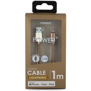 Cable Lightning USB-A Dorado - Cable USB Cable Lightning USB-A Dorado - Cable USB