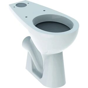 Toilette surélevée à un seul bol Geberit Bastia - Sanitaire - Publicité Toilette surélevée à un seul bol Geberit Bastia - Sanitaire - Publicité